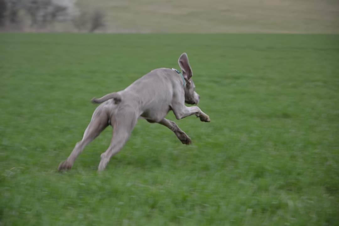 IMG-20220418-WA0003
